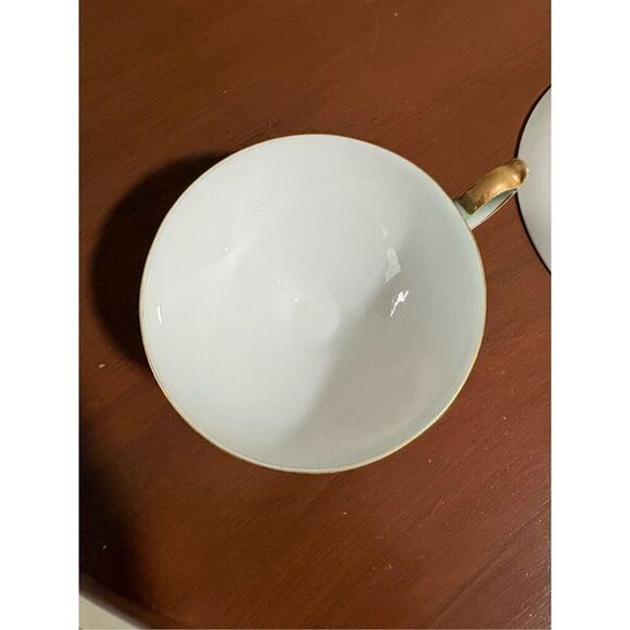 Shafford Tea Cup and Saucer, Hand Painted, Japan, Translucent - Picture 6 of 7